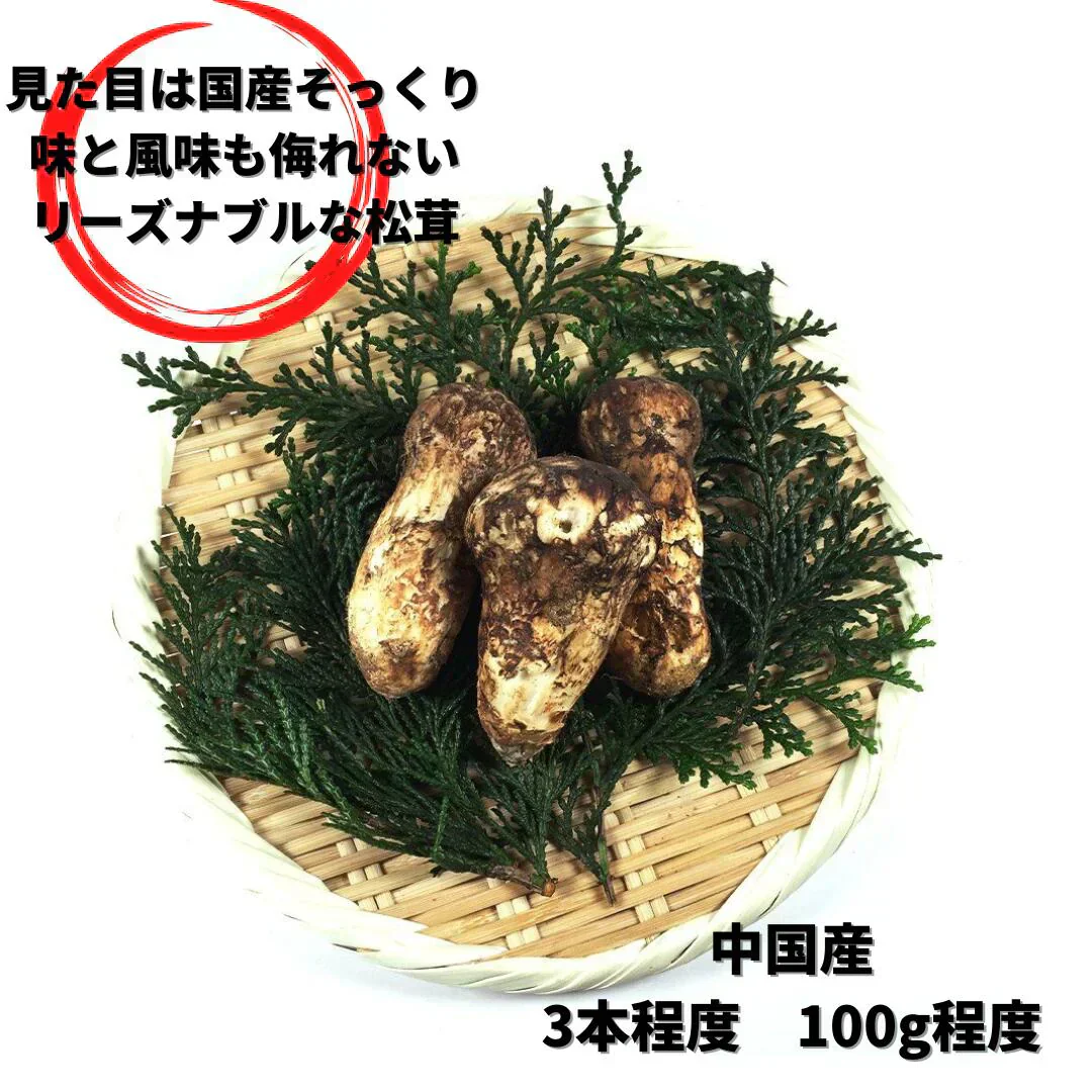 松茸(まつたけ) 中国産 約100グラム程度