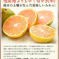 小玉 みかん 訳あり 送料無料 4kg 小粒 ミカン 柑橘 熊本 極早生 3s-sサイズ 家庭用 9月下旬-10月中旬頃より発送予定