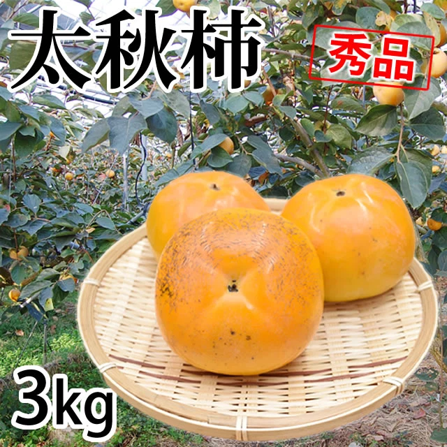 【10月下旬～11月上旬頃より順次出荷】太秋柿 柿 送料無料 秀品3kg 8～14玉入り 熊本・福岡県産 太秋 かき カキ