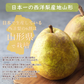 【11月中旬-12月下旬頃ご注文受付順次】洋梨　ラフランス　約5kg（10-20玉前後）産地箱詰め　山形県産　西洋梨　なし　ようなし