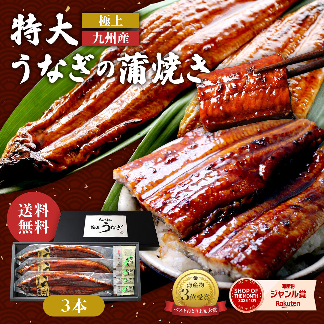 特大うなぎ蒲焼 約200ggｘ3本  九州産