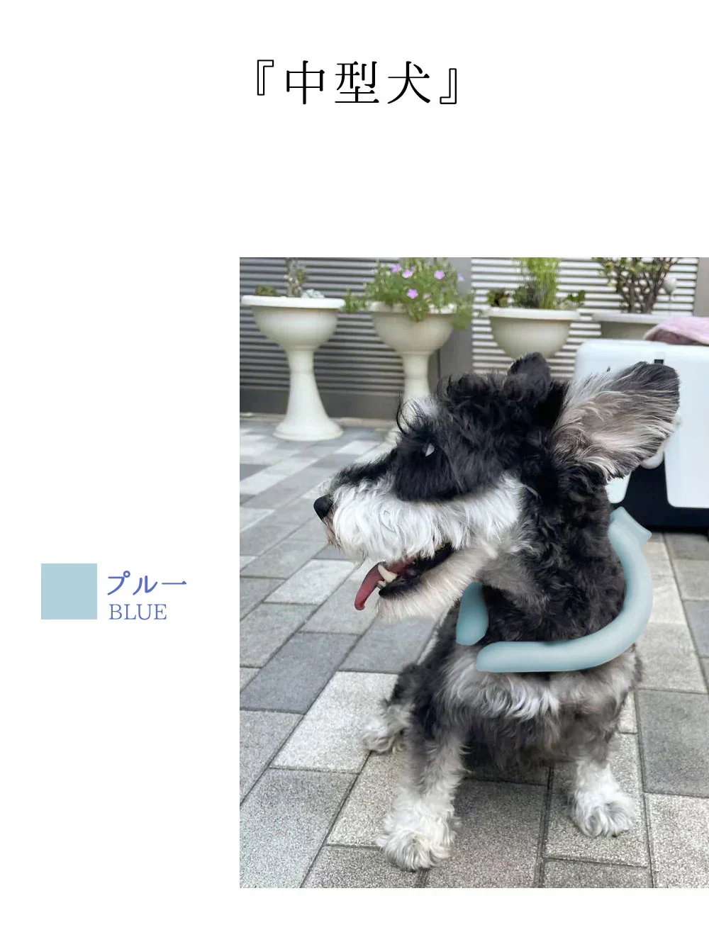 【ペット夏用保冷剤！】＼1本 Sサイズ 色がランダム出荷／犬 猫 PCM素材使用 クールリング ネッククーラー アイスクールリング ひんやり リング 軽量 ペット 首掛け 首 冷感リング 小型犬 お散歩 冷感 暑さ対策  ペット用品 猫冷却 冷感 ひんやりグッズ 物理降温 小型犬用