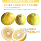 パール柑 10kg 箱込 (内容量9kg+不良果補償分500g) 文旦 みかん 送料無料 訳あり 無選別サイズ混合 熊本県産 グレープフルーツ 蜜柑