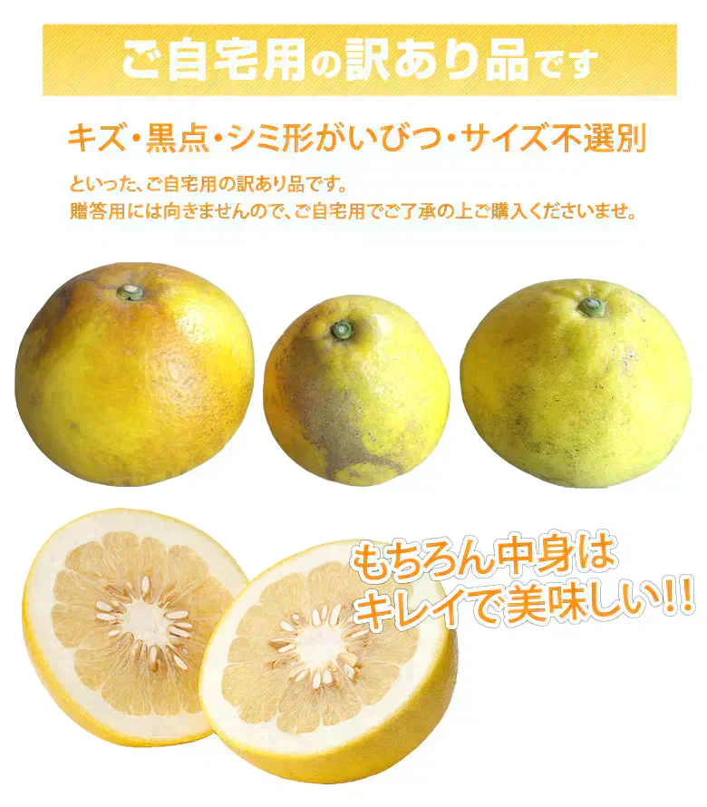 パール柑 10kg 箱込 (内容量9kg+不良果補償分500g) 文旦 みかん 送料無料 訳あり 無選別サイズ混合 熊本県産 グレープフルーツ 蜜柑