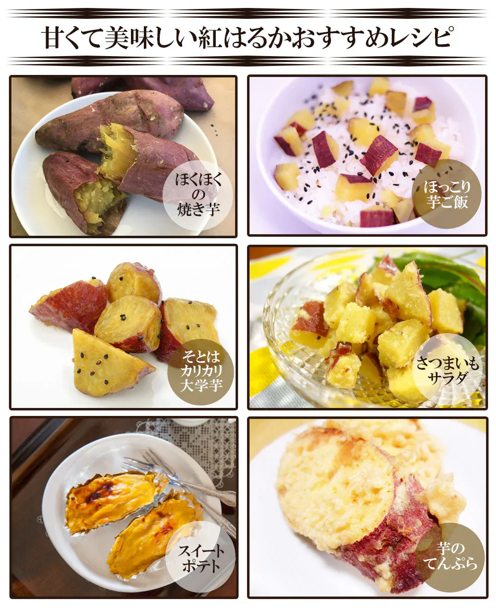 紅はるか さつまいも 5kg 産地直送 産直 土付き さつま芋 薩摩芋 焼きいも 焼き芋 石焼き芋 芋 いも イモ 鹿児島県産 FJK-000