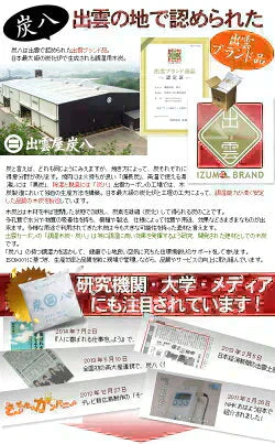 調湿木炭 炭八 スマート小袋 5個入