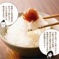 【4個セット】日本橋いなば園 八幡屋磯五郎七味唐辛子使用 おかず七味味噌 120g ネコポス メール便送料無料