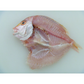 山口 連子鯛 一夜干し 2枚×3【送料込み】