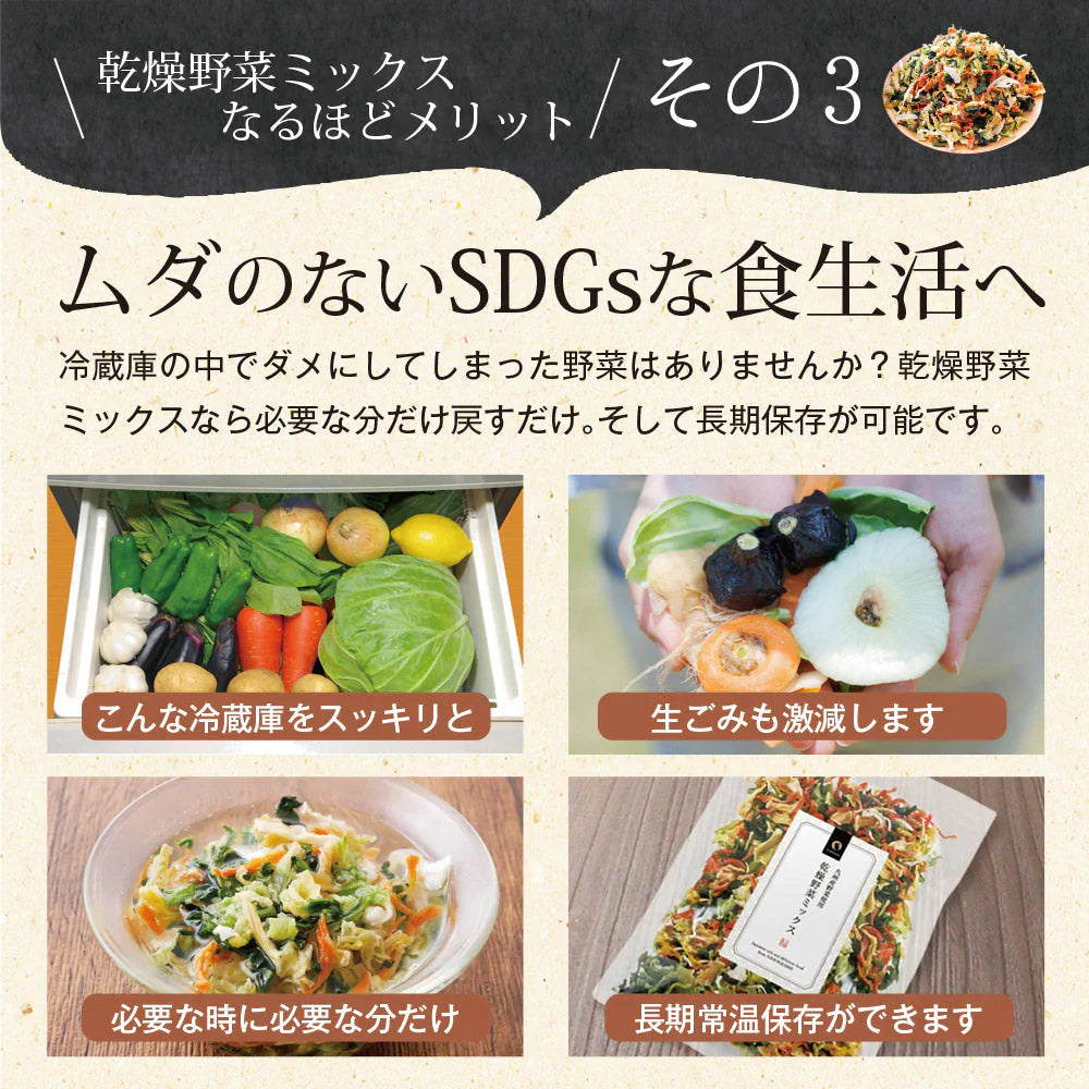 日本橋いなば園 九州産野菜使用 乾燥野菜ミックス 100g ネコポス メール便送料無料