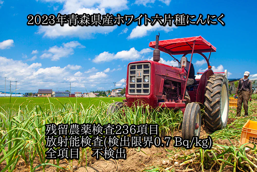 【わけあり品】青森県産ホワイト六片種にんにく 令和5年度産 新物 バラ 500g【高糖度】