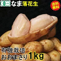 【数量限定】千葉県産　おおまさり　生落花生　1㎏　有機栽培