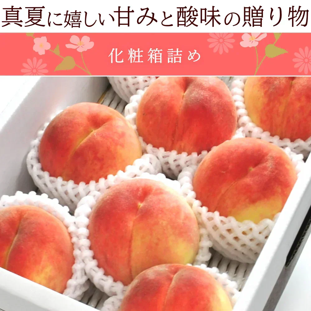 【8月中旬頃-9月中旬頃ご注文受付順次】白桃 約2kg 6-8玉前後 化粧箱 ギフト 秀品 贈り物 桃 モモ ピーチ 山形産 産地直送