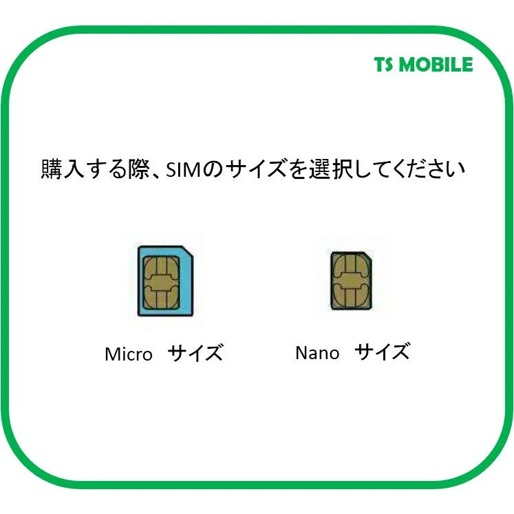 プリペイドsim ドコモ 格安SIM 高速データ容量110M/日1ヶ月プラン Docomo 格安SIM 1ヶ月パック レンタル 返却不要 延長可能 シムカード 30DAY
