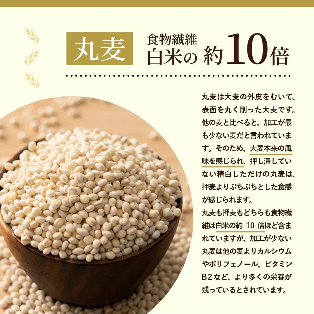 雑穀米本舗 国産 麦の恵み24穀米ブレンド 800g 水溶性食物繊維 無添加 無着色 【カウシェファーム収穫対象商品】