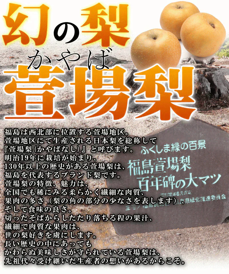 福島県産 梨 なし 2kg箱 ★秀品★品種おまかせ