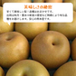 梨 訳あり（豊水・秋月・新高・愛宕など）約5kg（約5～24玉）送料無料【ゲリラセール】