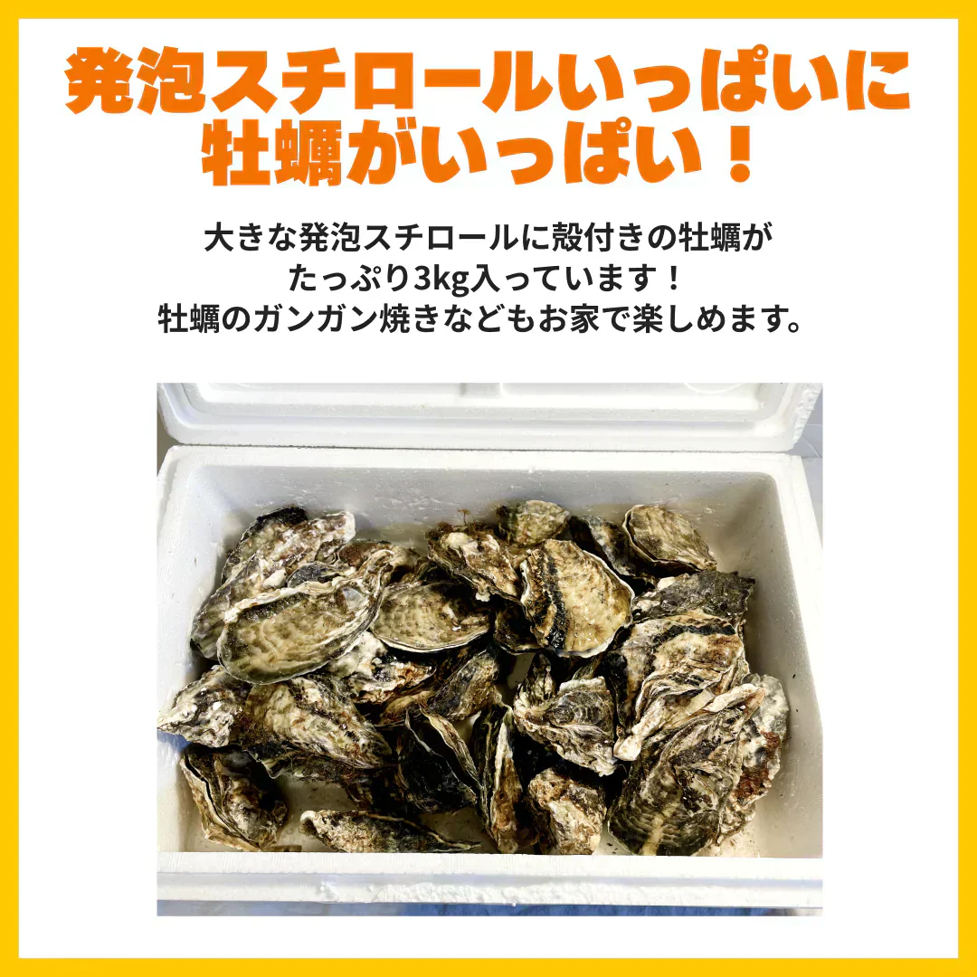 【25個以上！】香川県志度産牡蠣　３キロ