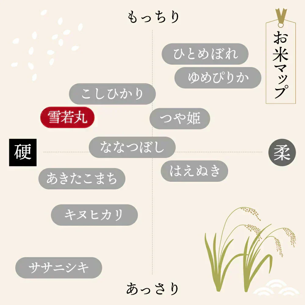 【新米】令和7年 山形県産 雪若丸 10キロ (精米) 5kg×2袋  送料無料 米 コメ おこめ 新米