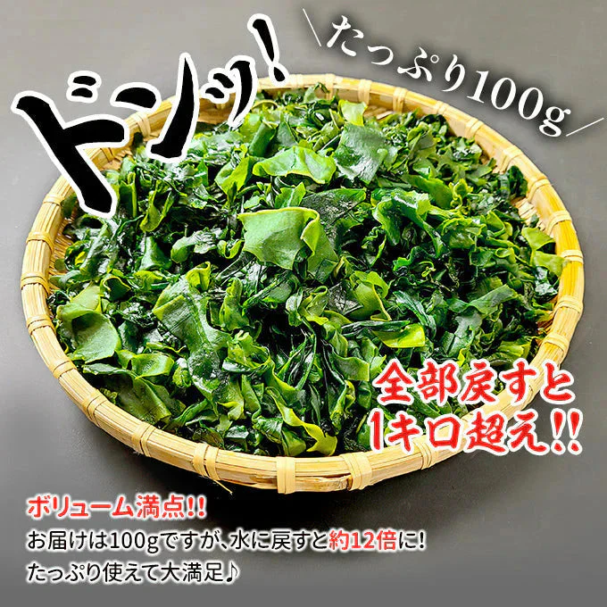 三陸産 カットわかめ 100g 常温便 ネコポス 送料無料【猛暑注意！到着後お早めに室内へ】