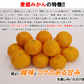 【最安値挑戦祭】みかん 5kg 送料無料 愛媛 みかん 温州みかん ミカン 蜜柑 安い 甘い 箱買い 産地直送 愛媛県産 YDF-00