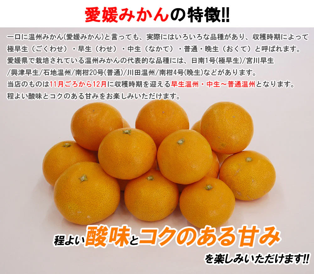 【最安値挑戦祭】みかん 5kg 送料無料 愛媛 みかん 温州みかん ミカン 蜜柑 安い 甘い 箱買い 産地直送 愛媛県産 YDF-00