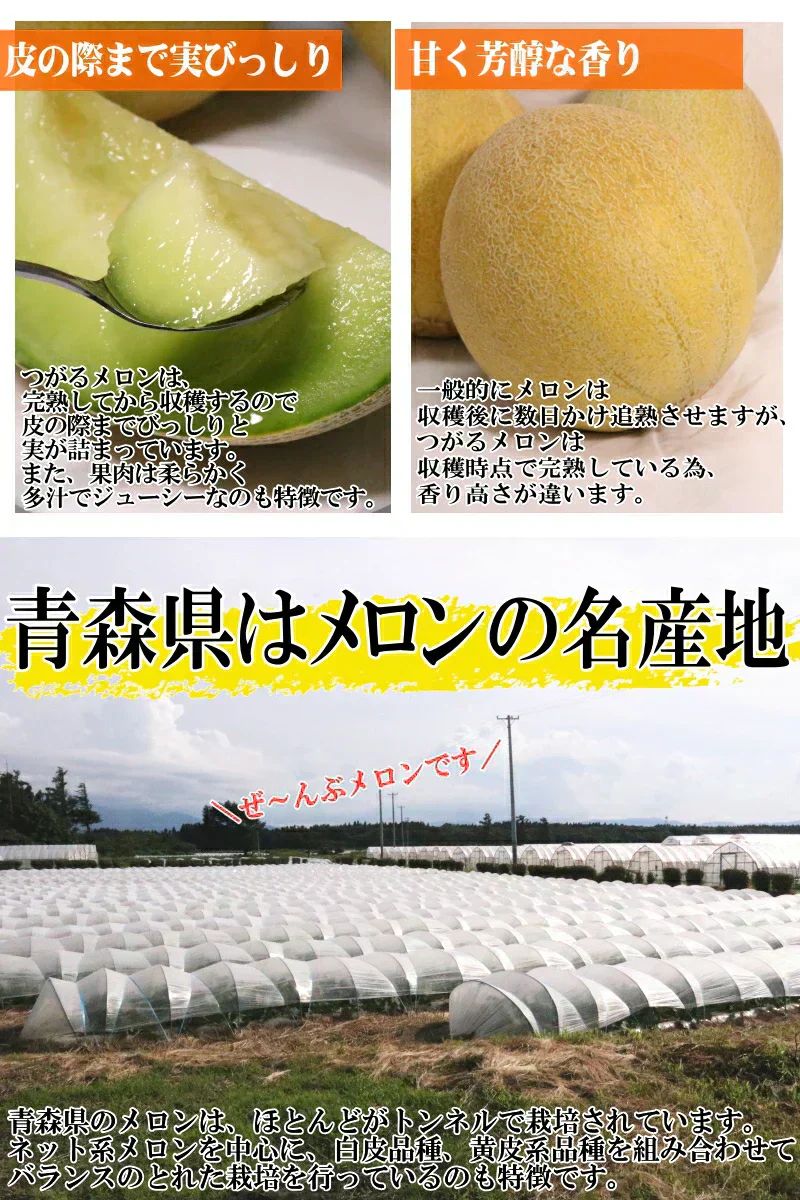 【冷蔵便】青森県産 つがるメロン 2玉(優～秀品 1玉約1.0kg～1.2kg×2玉入り)