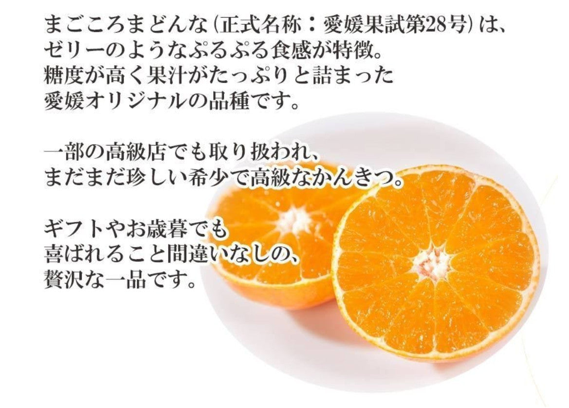 《無添加》愛媛県みかんゼリー【まごころまどんな】　150g×6個