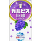 【ケース販売】【送料無料】アサヒ カルピス 巨峰 業務用 1000ml×12本