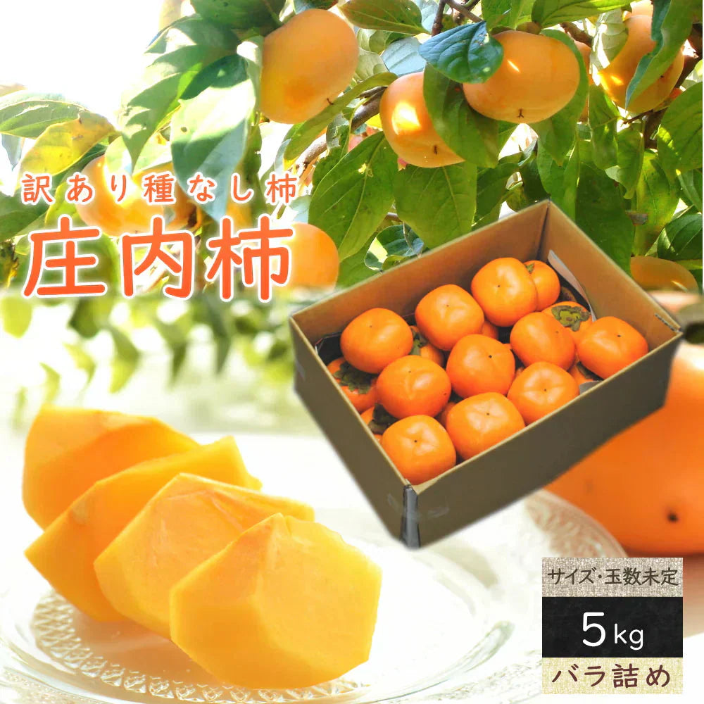 【11月上旬-下旬頃ご注文受付順次】訳あり庄内柿バラ詰め5kg前後　種なし柿を産地直送でお届け！ご家庭用にちょっと訳あり柿