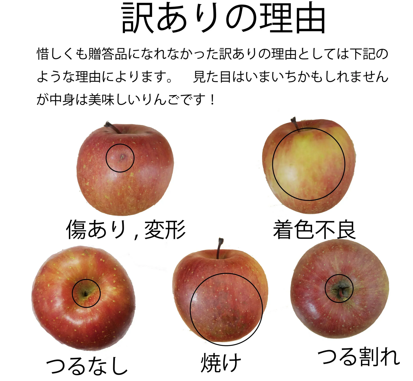 クール便　青森県産　訳あり　りんご　スマートフレッシュ！　ご家庭用　有袋ふじ　５ｋｇ　パック詰め　送料無料！