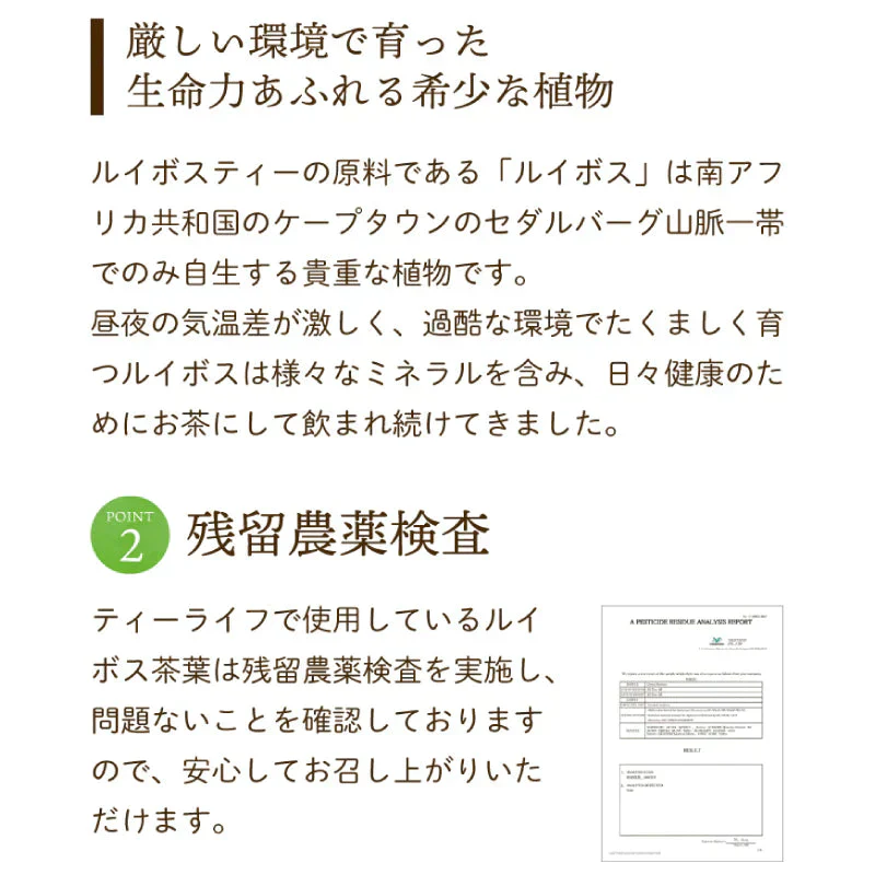 ゴールデングリーンルイボスティー50個入　水出し ティーバッグ ハーブティー ノンカフェイン お茶
