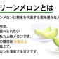 メロン 肥後グリーンメロン 送料無料 1玉 M～3L 熊本県産 肥後グリーン