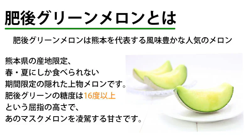メロン 肥後グリーンメロン 送料無料 1玉 M～3L 熊本県産 肥後グリーン