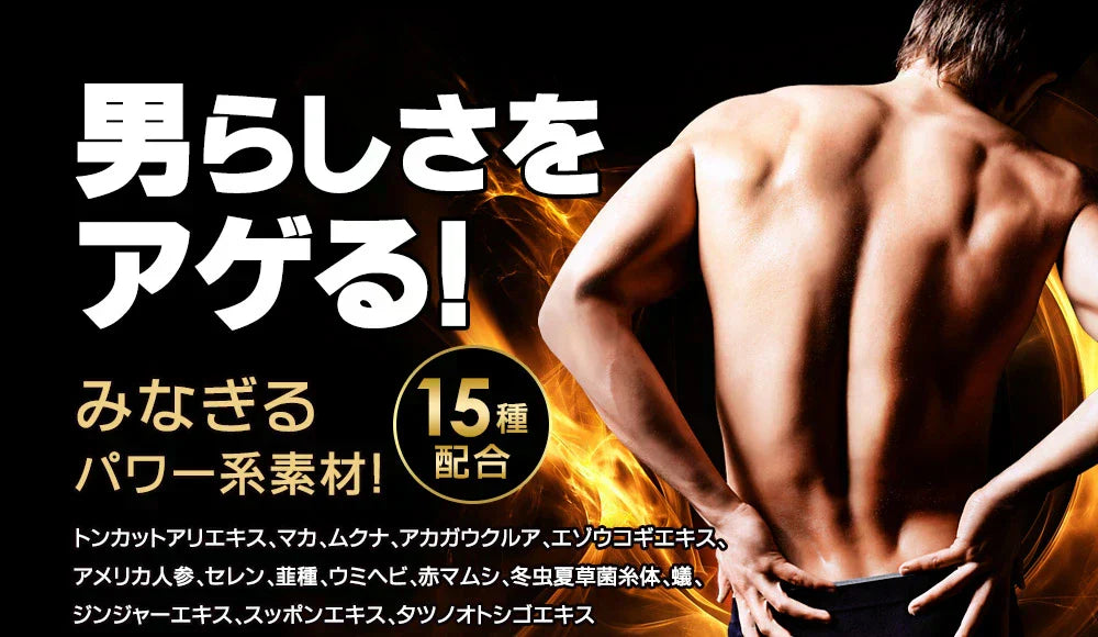 タフコンフィデンス《約3ヶ月分》みなぎるパワー系素材13種類配合！　ネコポス送料無料　トンカットアリ/マカ/スッポン/赤マムシ/亜鉛/タフコン/TOUGH CONFIDENCE