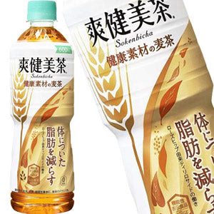 [機能性表示食品]コカコーラ 爽健美茶 健康素材の麦茶 600mlPET×48本[24本×2ケース]［賞味期限：2ヶ月以上］1セット1配送でお届け北海道・沖縄・離島は送料無料対象外【2?3営業日以内に出荷】［送料無料］