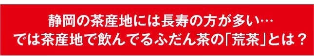 【2個セット】日本橋いなば園 静岡深蒸し茶 荒茶づくり 100g ネコポス メール便送料無料