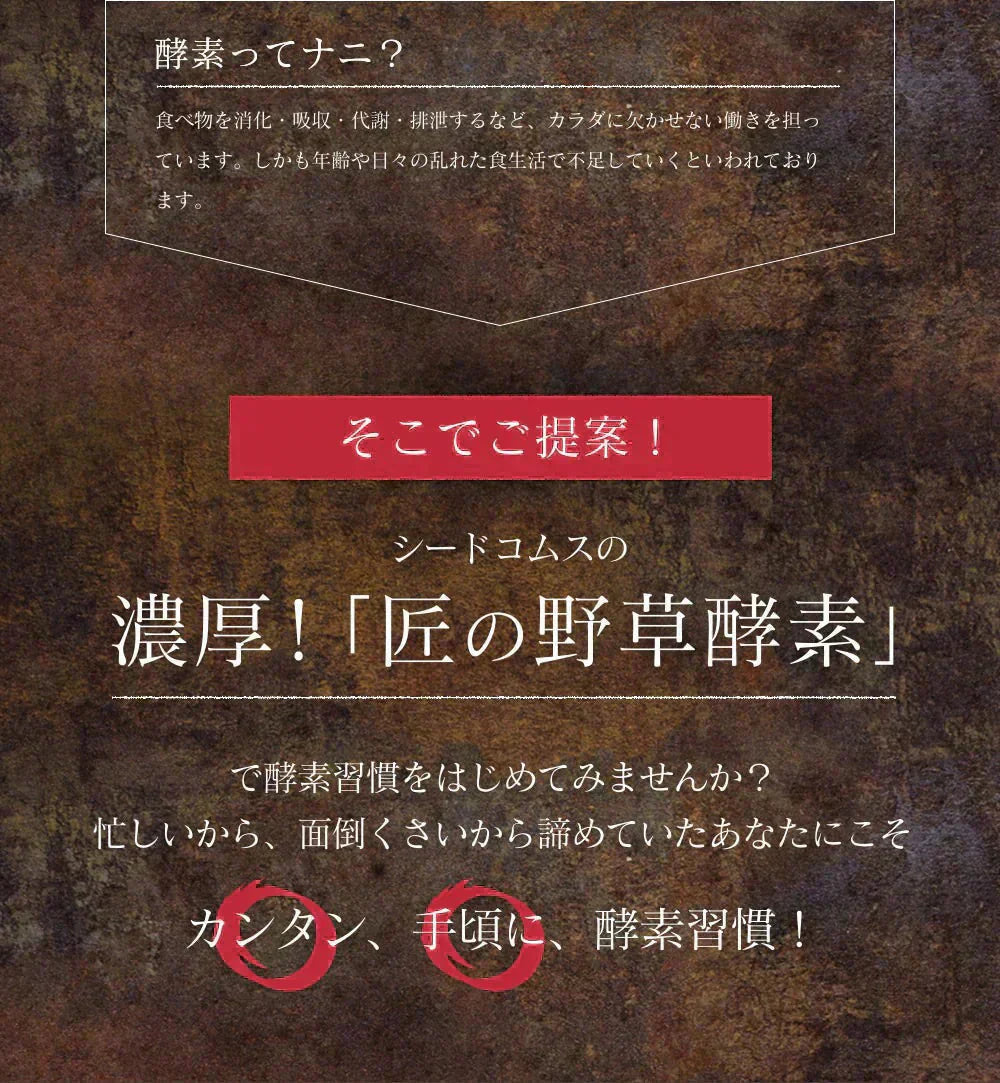匠の野草酵素《約1ヶ月分》  送料無料 サプリ サプリメント 酵素 野草酵素 健康  スーパーフード 健康食品 野菜不足 乳酸菌 ダイエット 美容 ビタミン ビタミンC【カウシェファーム収穫対象商品】