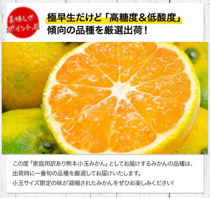 小玉 みかん 送料無料 訳あり みかん 小粒 1.5kg 家庭用 箱買い 果物 小粒 熊本 極早生 柑橘 九州 訳アリ だけど 小玉 で 甘い 蜜柑 わけあり 《9月末-10月下旬頃より発送予定》