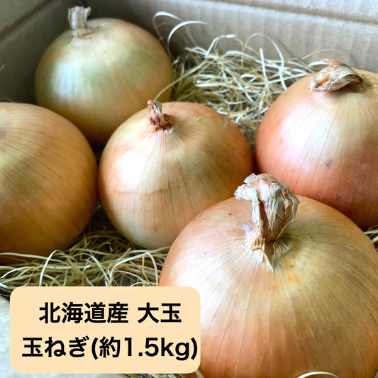 〈国産〉北海道産 大玉玉ねぎ(約1.5kg/5玉)
