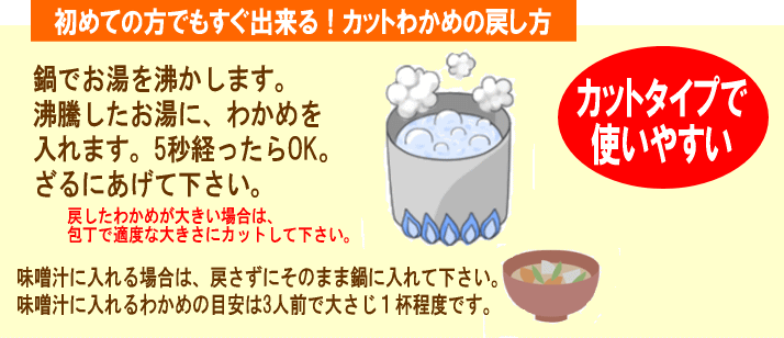 【3人シェア買いでお得】若布 カットわかめ 40g×2袋 国産 乾燥 お試しセット 送料無料
