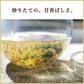 送料無料 伊藤園 お〜いお茶 玄米茶 2L 2000ml×2ケース/12本