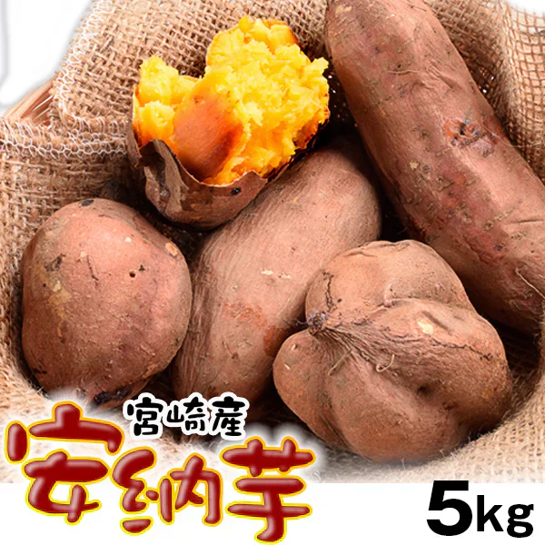 安納芋 5kg 宮崎産 土付き ご家庭用【2025年1月中旬より発送】