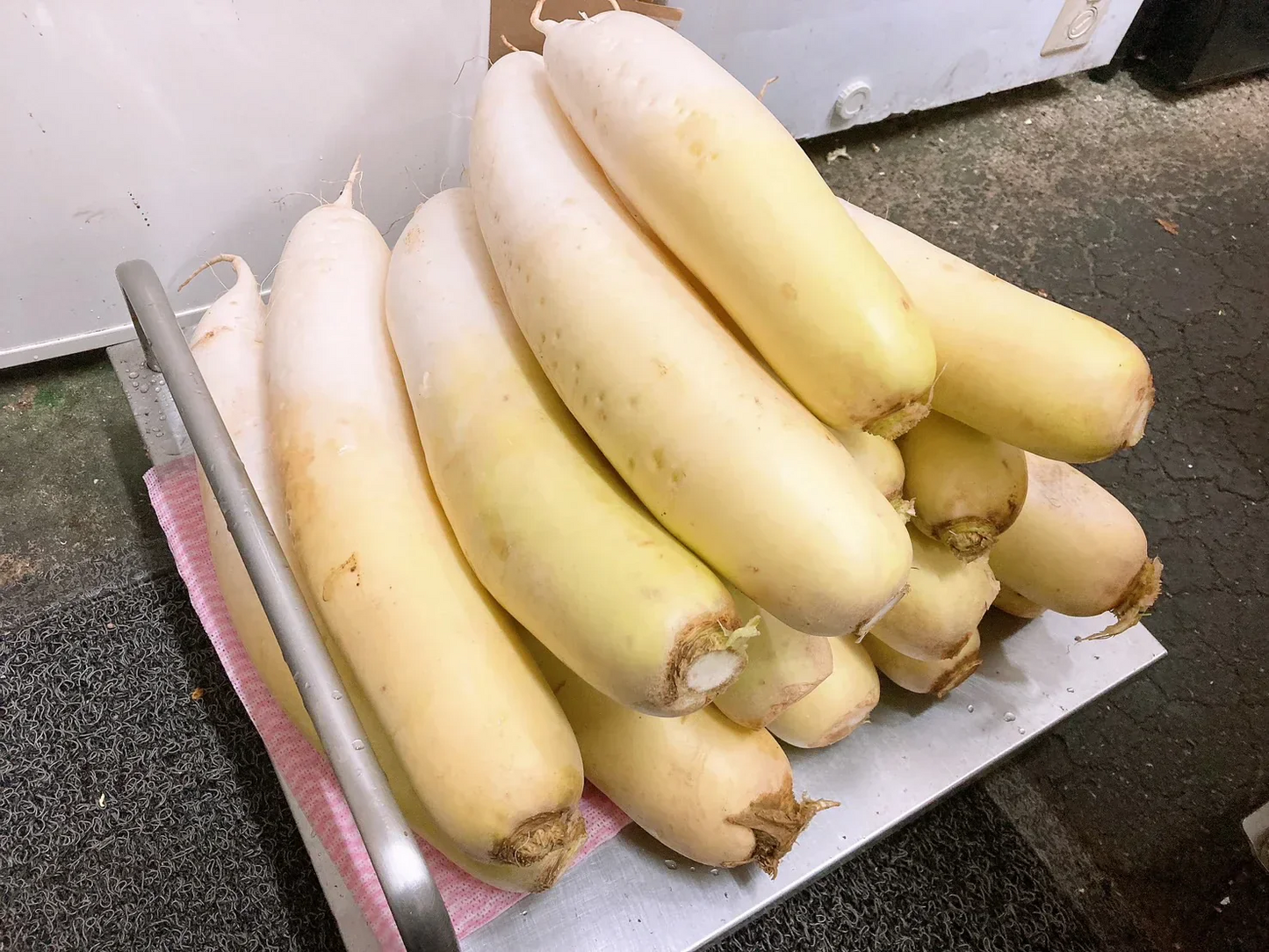 【数量限定 訳アリ大根】北海道 ニセコ産 大根 5kg(約4本)  訳アリ品 規格外 常温発送