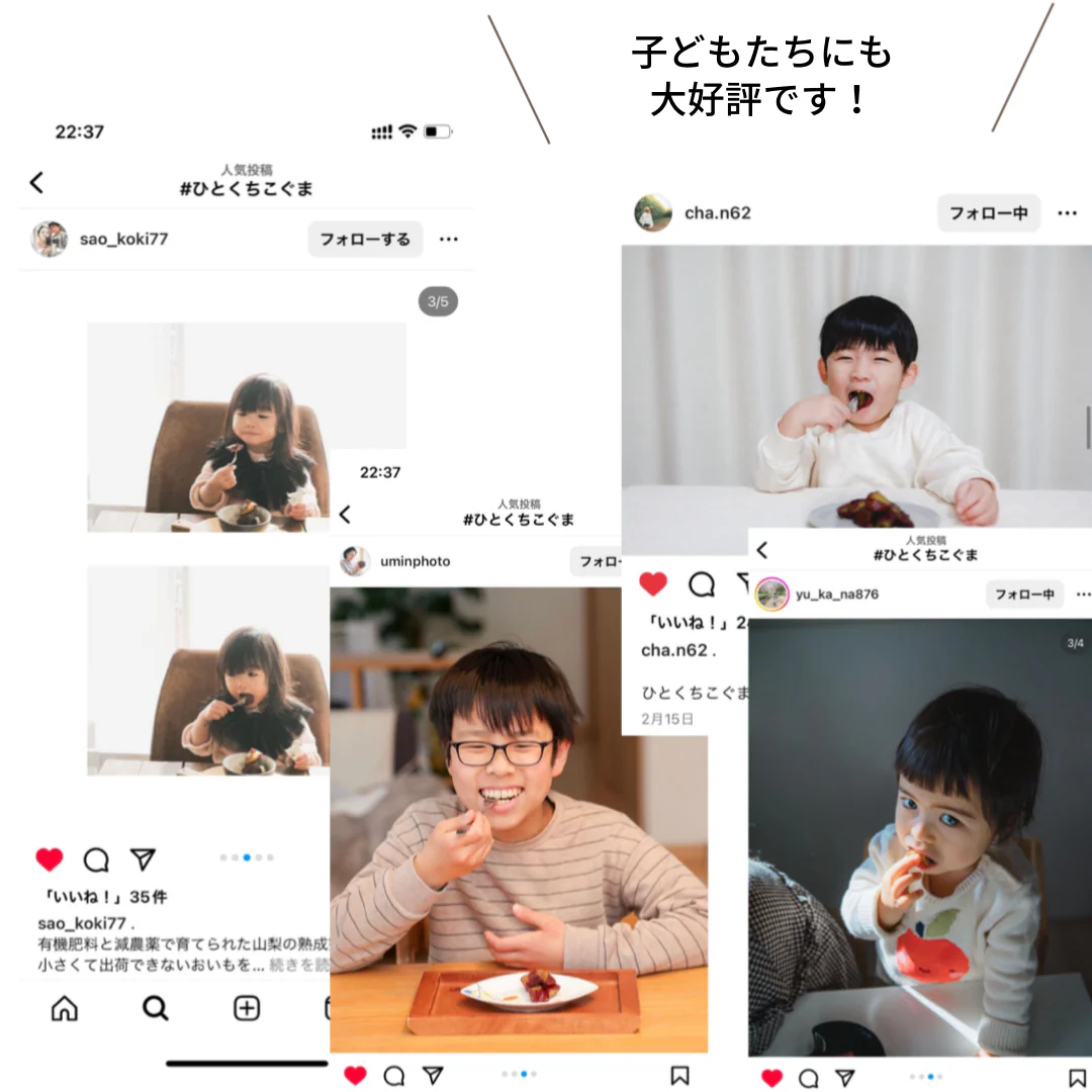ひとくちこぐま-おきかえパック-