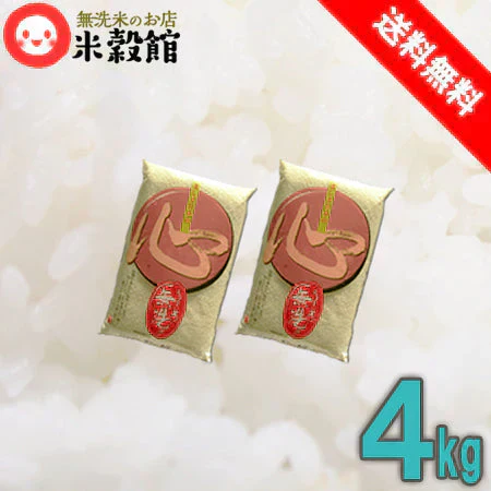 【おためし・普段使いにも】小分けで便利！米 無洗米 送料無料 九州産「心」 4kg(2kg×2)令和5年 九州産
