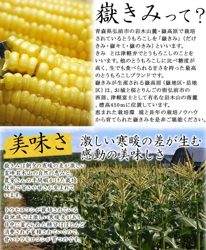 【8月下旬-9月下旬頃発送】嶽きみ 青森県が誇るプレミアム とうもろこし 12本セット まるで果物のような甘さ トウモロコシ コーン