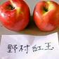 新品種 野村紅玉 やや強めの酸味で美味しい 料理に最適 冷蔵保存で４月下旬まで２．５kg 約１２個 訳あり【6126】