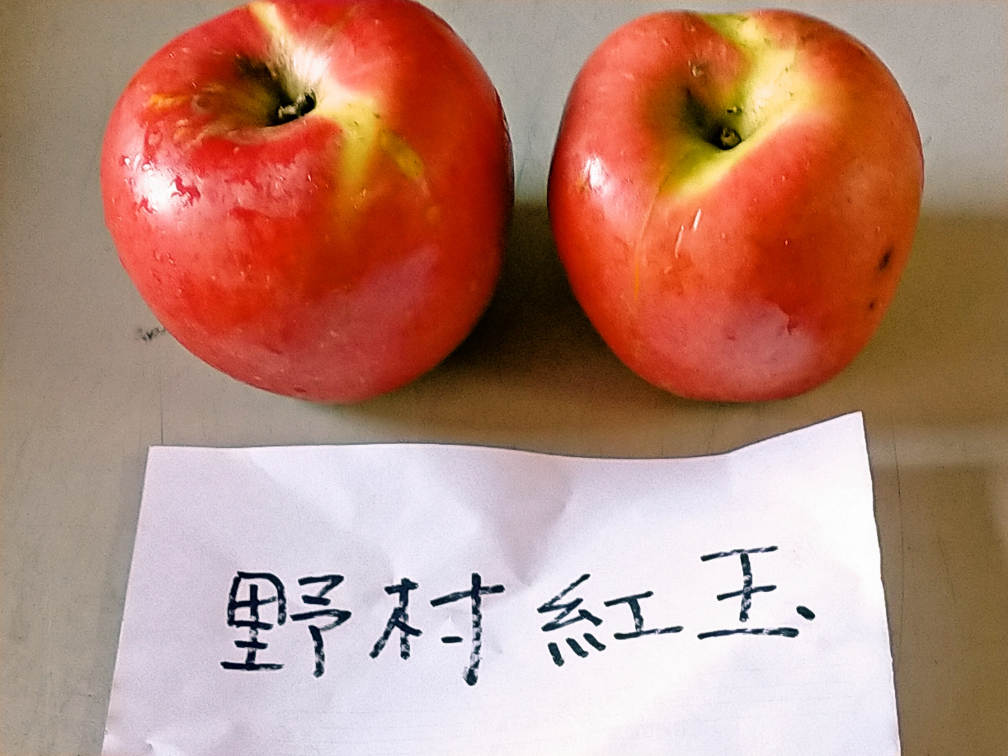 新品種 野村紅玉 やや強めの酸味で美味しい 料理に最適 冷蔵保存で４月下旬まで２．５kg 約１２個 訳あり【6126】