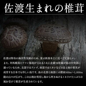 原木しいたけ 椎茸 肉厚 完全無農薬栽培 新潟県 佐渡産 60g