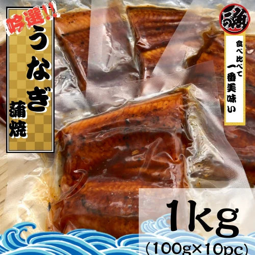 【吟選】 うなぎ蒲焼１０パック！！×１００ｇ　ドドンと１０人前！！ 鰻 ウナギ